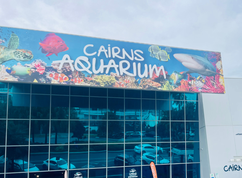 Cairns Aquarium