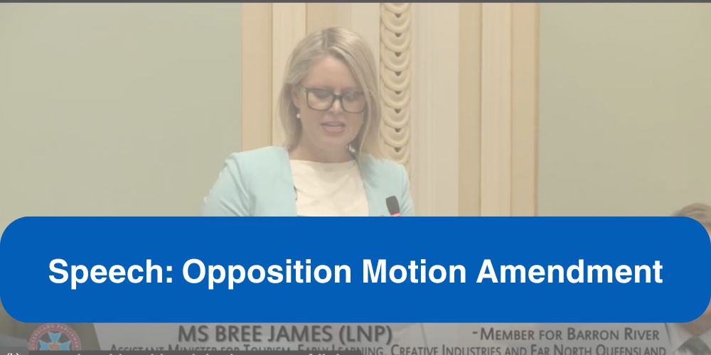 Speech Bree James Opposition Amendment