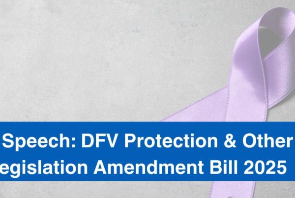 Domestic and Family Violence Protection and Other Legislation Amendment Bill 2025