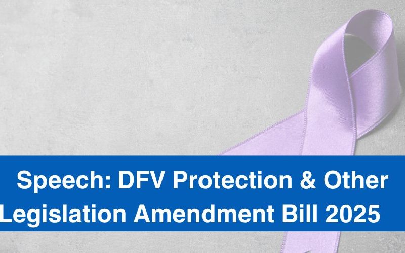 Domestic and Family Violence Protection and Other Legislation Amendment Bill 2025