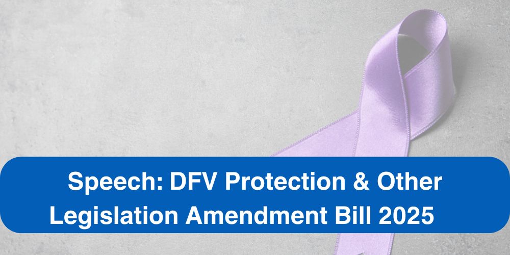 Domestic and Family Violence Protection and Other Legislation Amendment Bill 2025