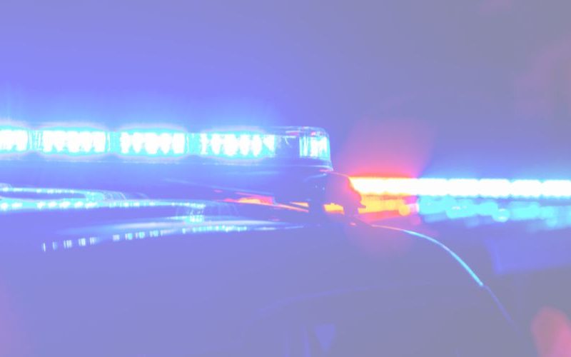 Private Member's Motion Crime