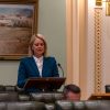 BreeJames Parliament Speeches