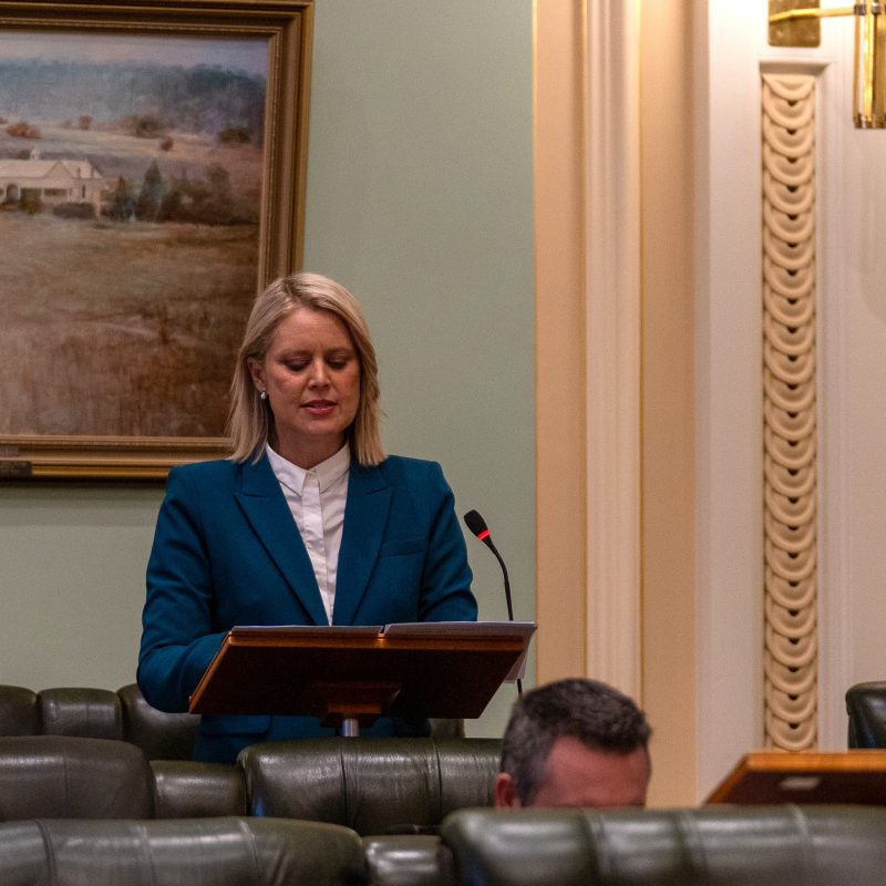BreeJames Parliament Speeches